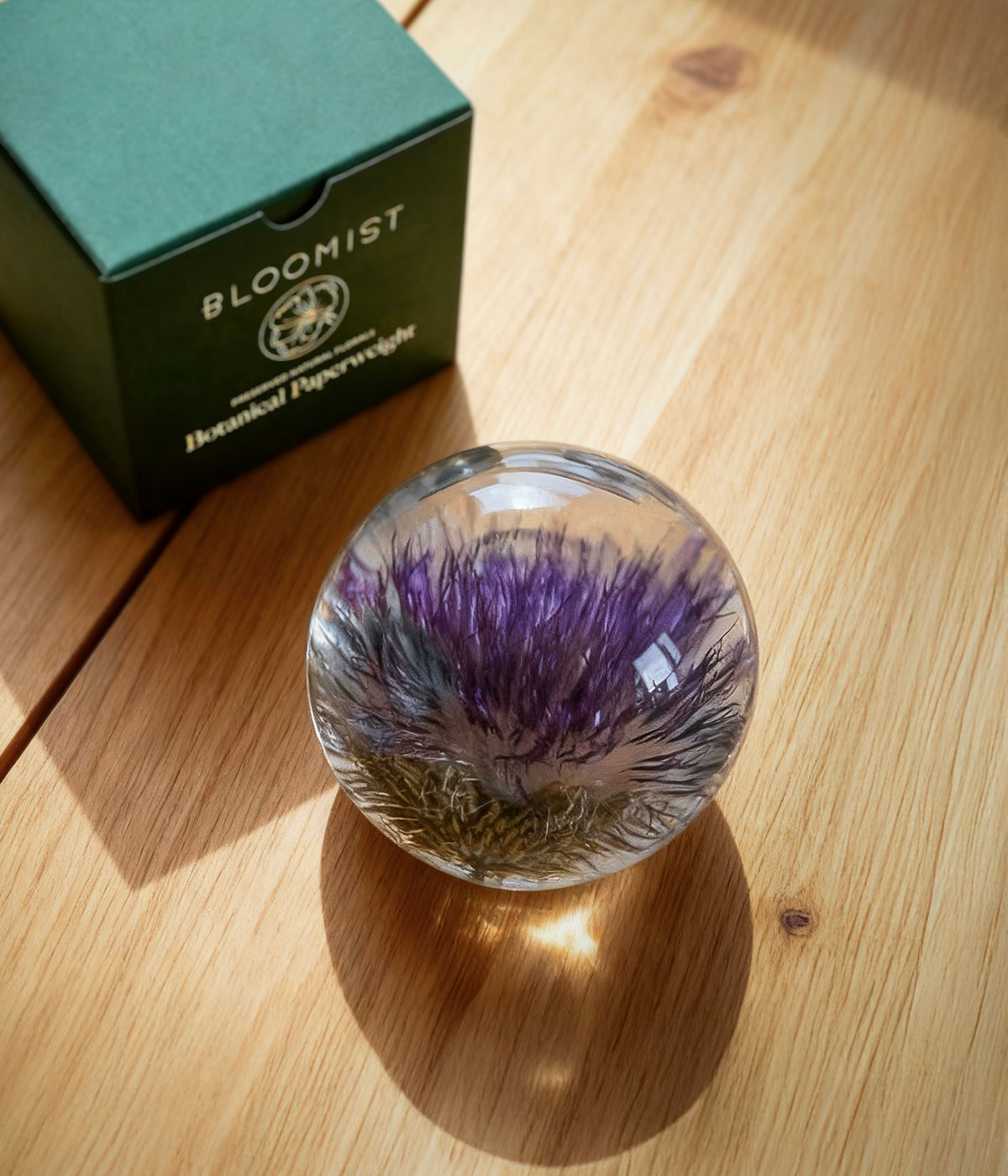 Botanical glass paperweight featuring a purple thistle resting on a wooden surface next to a green Bloomist gift box.